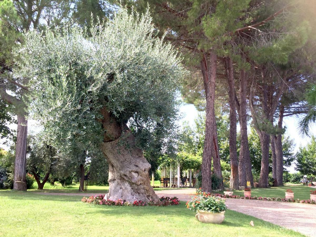 Agriturismo La Stornara Marina di Ginosa Exteriör bild